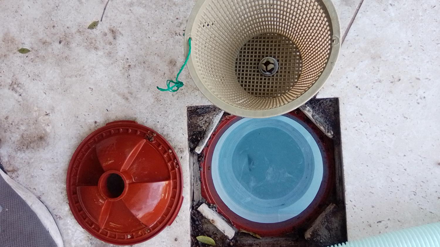 After – clean empty skimmer basket following Apex Jungle service