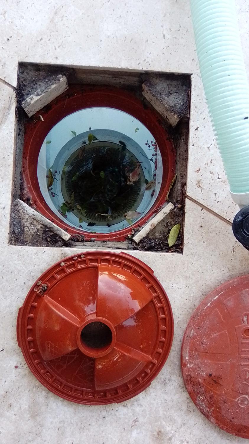Dirty clogged skimmer basket before green pool recovery Cape Town