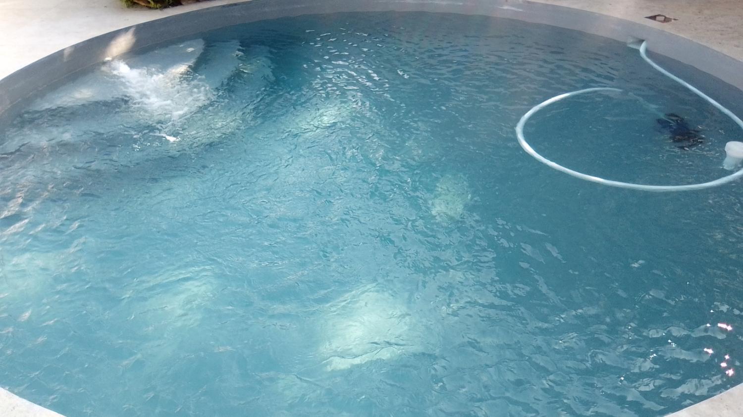 After green pool recovery Cape Town – crystal clear blue swimming pool Apex Jungle